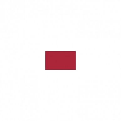 Nailover - Vopsea acrilica - 08 (10ml)