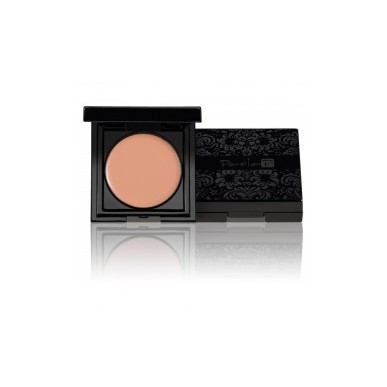 PaolaP Pro Concealer 04