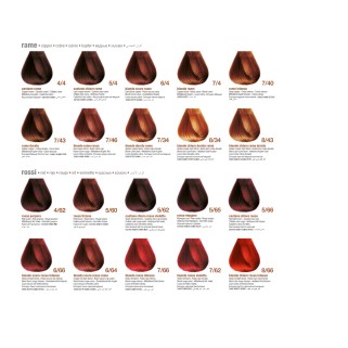 BBCOS - Catalog Culori Innovation Evo