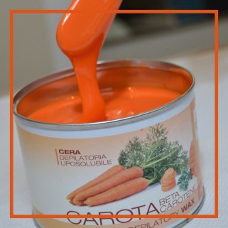 Holiday - Ceara Conserva Liposolubila Morcovi (400ml)