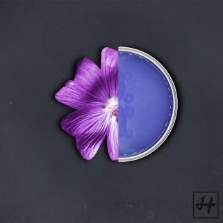 Holiday - Ceara Conserva Liposolubila Nalba si Galbenele (400ml)