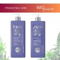 Pachet Promotional - BBCOS Blond Tech (1L) Pachet Promotional - BBCOS Blond Tech (1L)