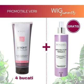Pachet Promotional - 4 bucati Tassel Masca Coloranta pentru Par (200ml)