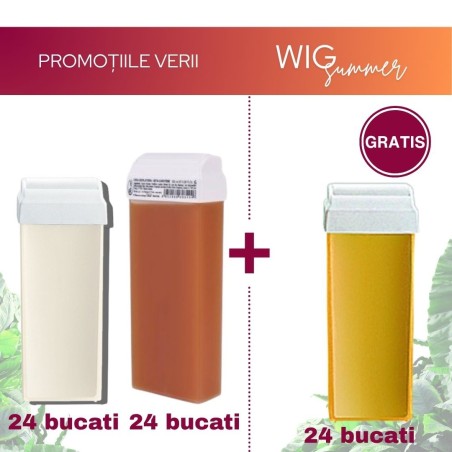 Pachet Promotional - 48 bucati Roial Ceara Cartus (100ml)