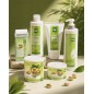 Cartus ceara epilat cu fistic – Holiday Pistachio 100ml