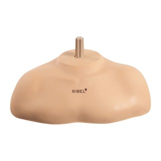 Bust suport tip umar SIBEL P050019 compatibil cu capul manechin Stephanie P005013