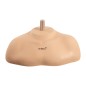 Bust Suport Tip Umar pentru Cap Manechin – SIBEL P050019
