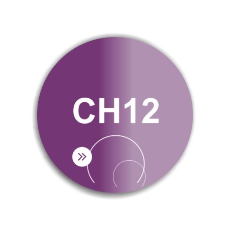 SoKwik - CH12 - So Dip Powder (29g)