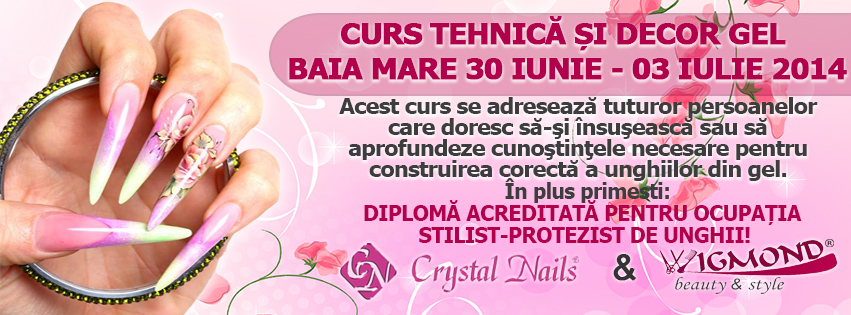 Curs Tehnica si decor Gel Baia Mare 30 iunie - 03 iulie 2014