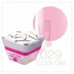 Color Gel - 029