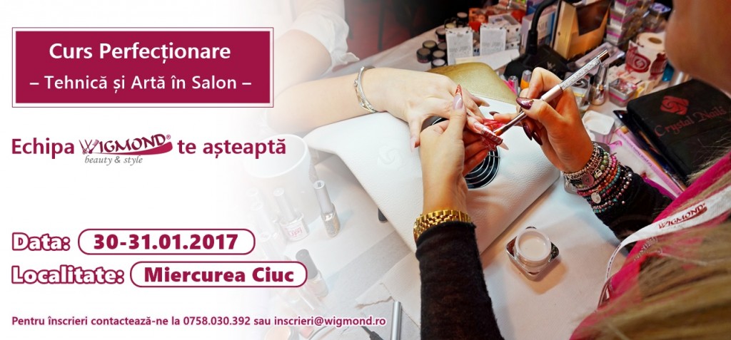 banner-curs-perfectionare-tehnica-si-arta-in-salon-miercurea-ciuc_2