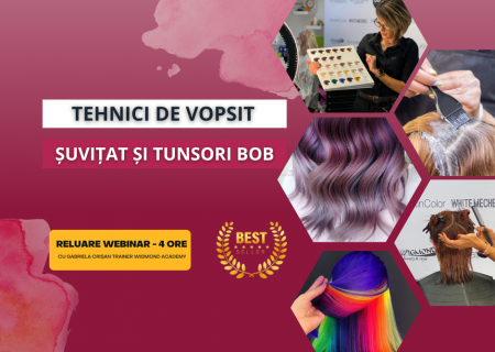 Tehnici de vopsit, suvitat si tunsori bob (inregistrare webinar)
