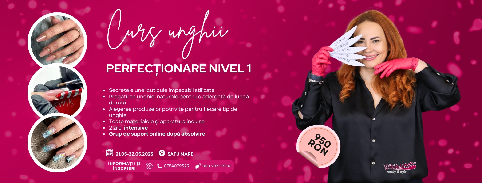 Curs Perfecționare – NIVEL 1 (Satu Mare)
