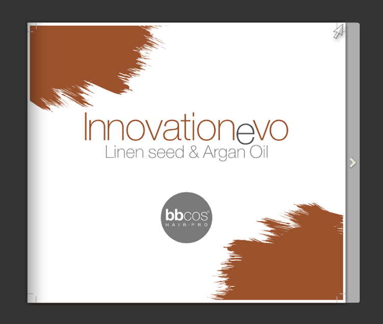 Catalog Culori BBcos Innovation